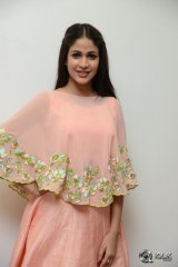 Lavanya Tripathi Interview About Soggade Chinni Nayana
